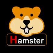 xhamster live argentina